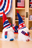 2-Piece Independence Day Knit Decor Gnomes